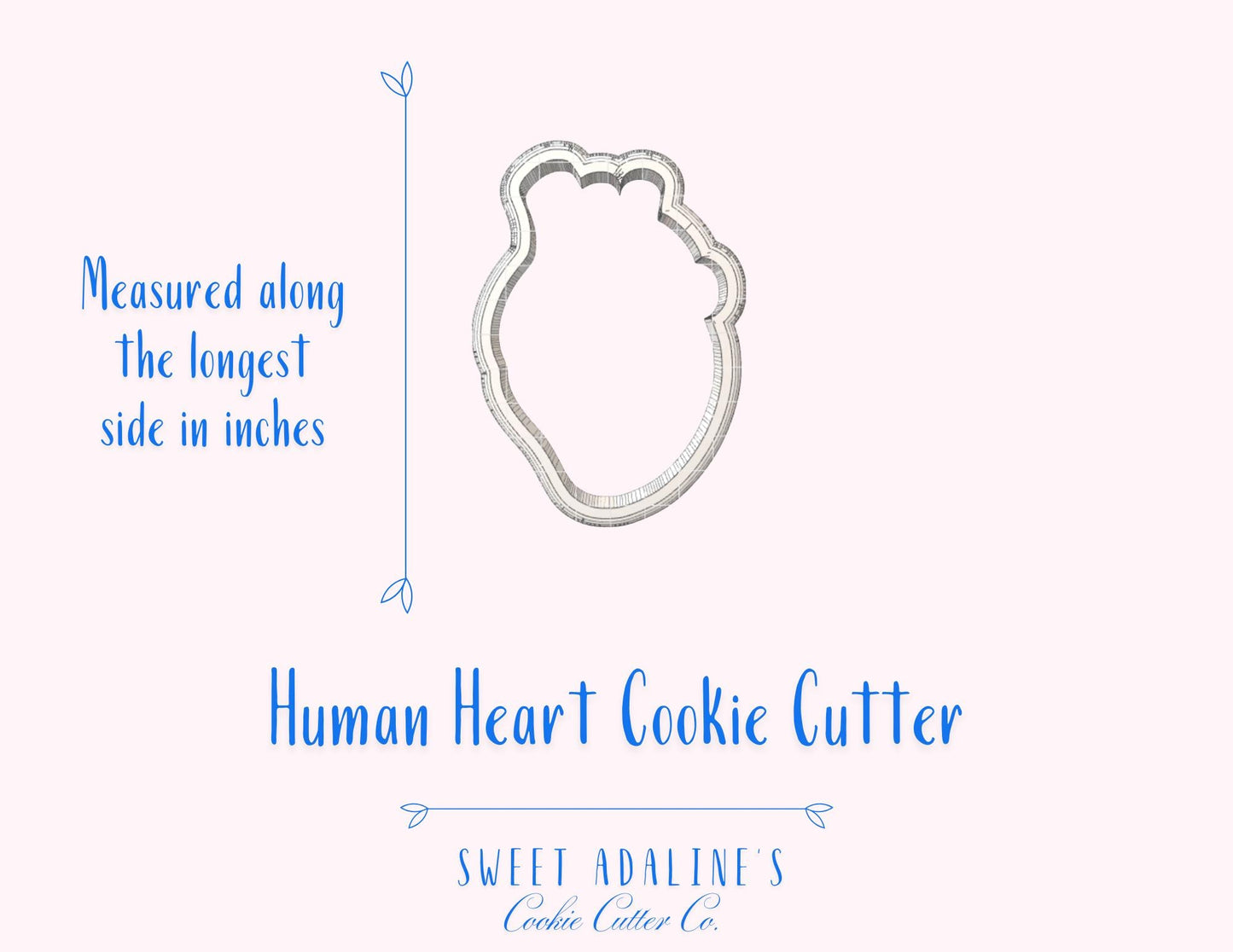 Human Heart Cookie Cutter for Halloween — Available in 3 Sizes — Cookie Cutters for Halloween Baking and Decorating - Human Anatomy