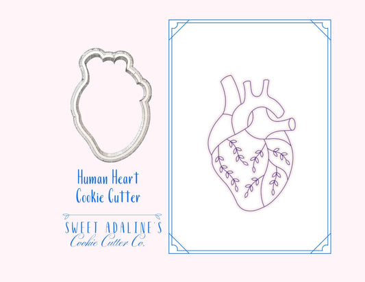 Human Heart Cookie Cutter for Halloween — Available in 3 Sizes — Cookie Cutters for Halloween Baking and Decorating - Human Anatomy
